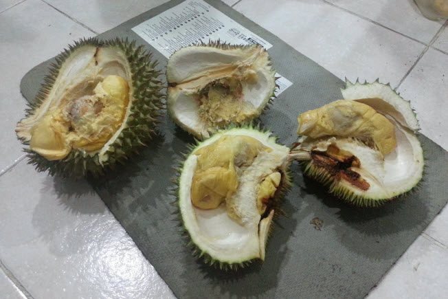 Image result for durian buruk